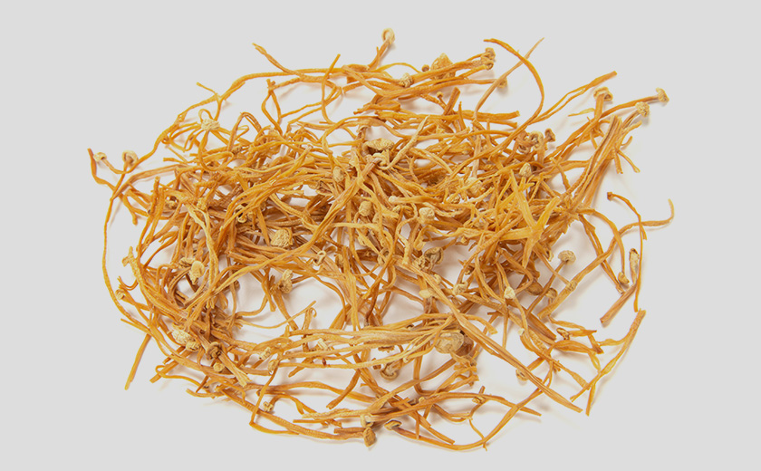 乾燥えのきたけの写真