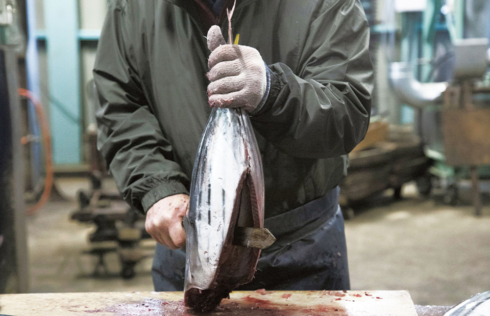 土佐式製法/森田鰹節株式会社/竹内商店様ご提供画像