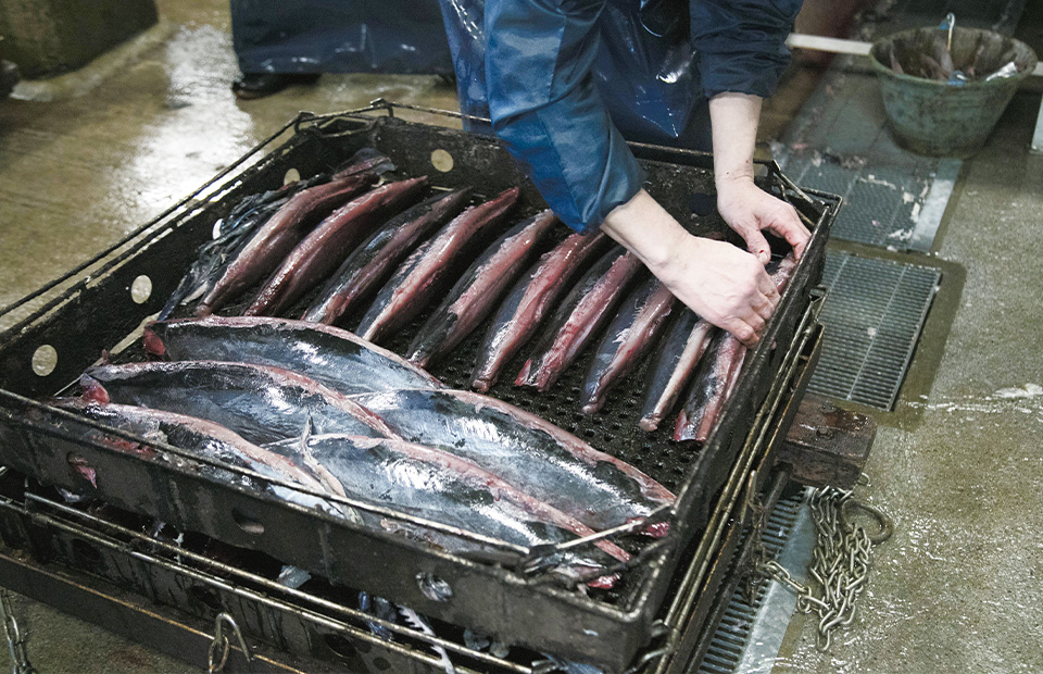土佐式製法/森田鰹節株式会社/竹内商店様ご提供画像