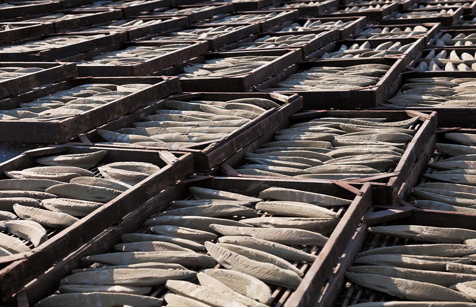 土佐式製法/森田鰹節株式会社/竹内商店様ご提供画像